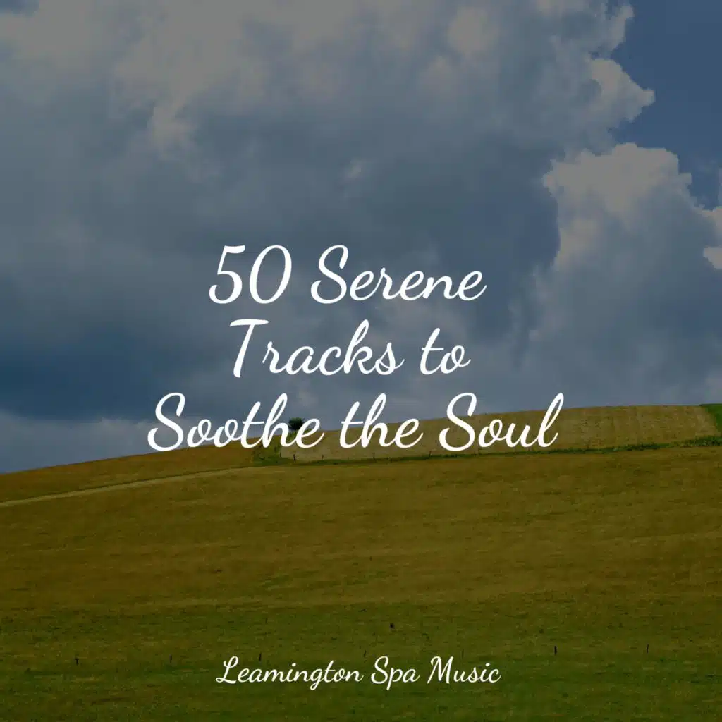 Music for Deep Sleep