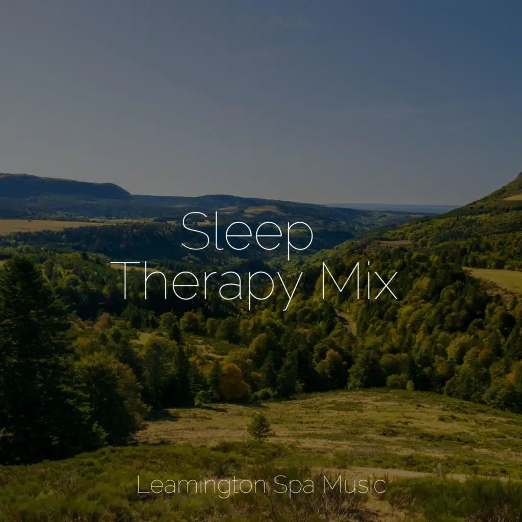 Sleep Therapy Mix