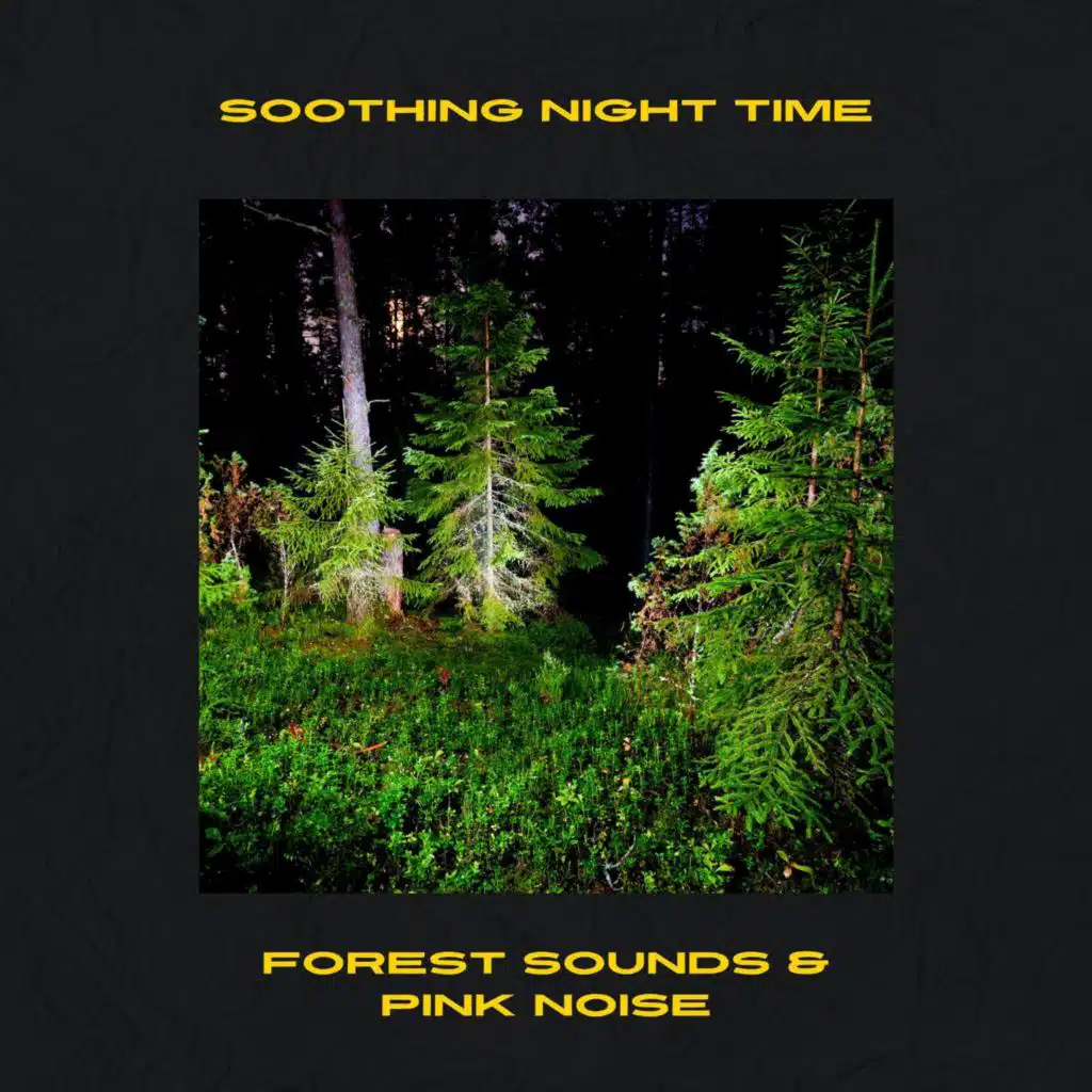 Soothing Night Time Forest Sounds & Pink Noise, Loopable