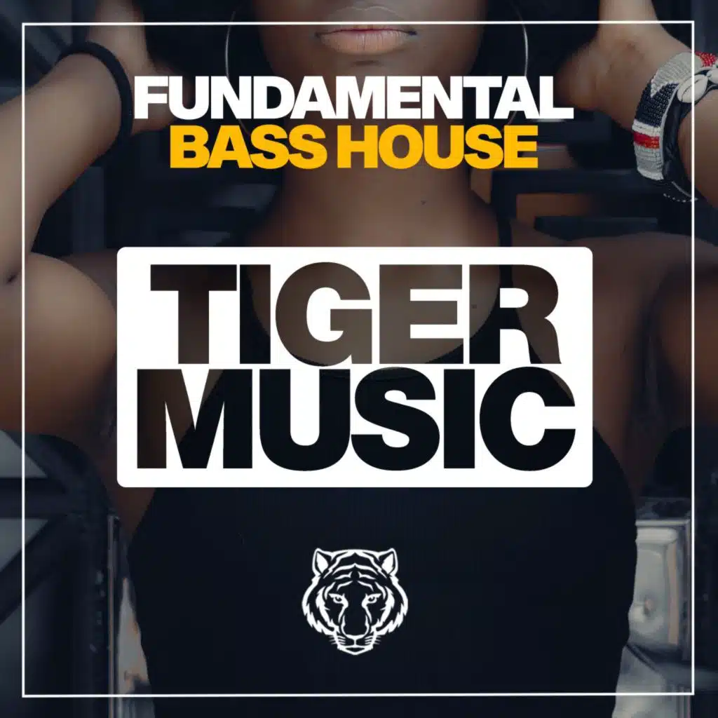 Fundamental Bass House