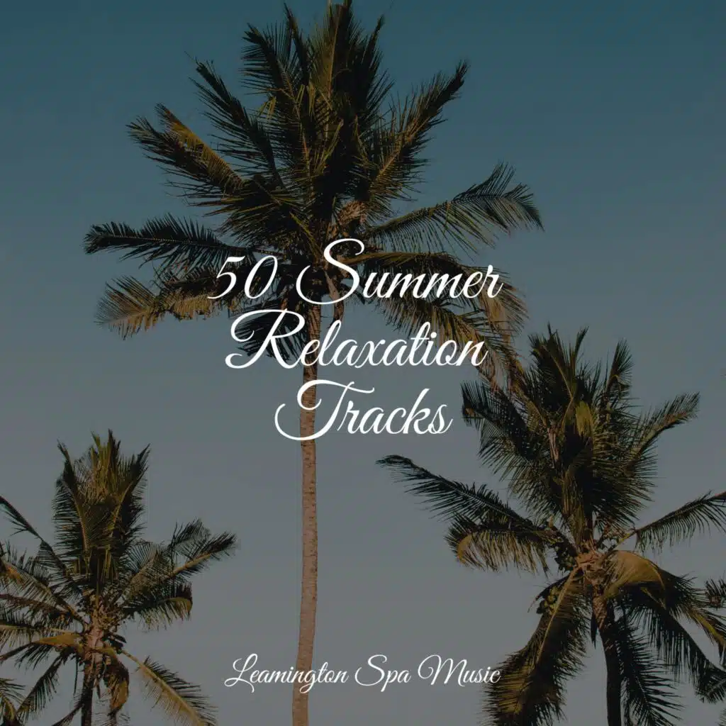 50 Summer Relaxation Tracks