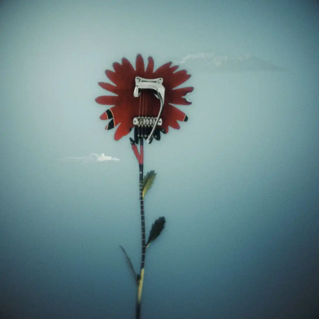 Rusty Trucks and Daisies