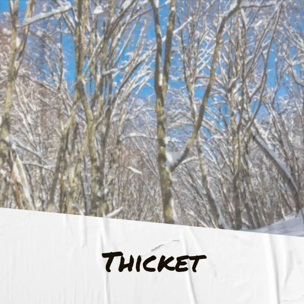 Thicket