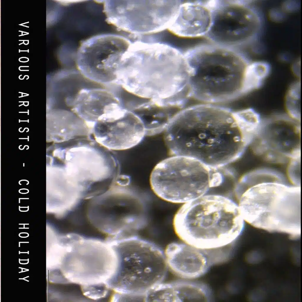 Raymond Sees the Dog