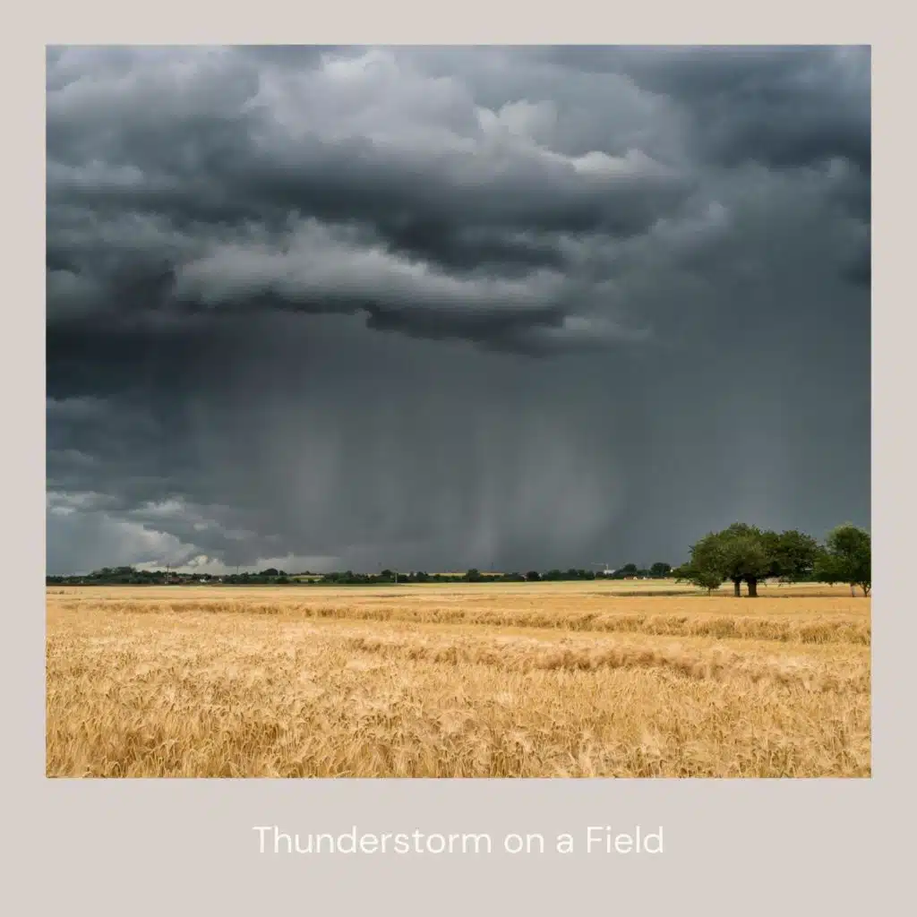 Thunderstorm on a Field