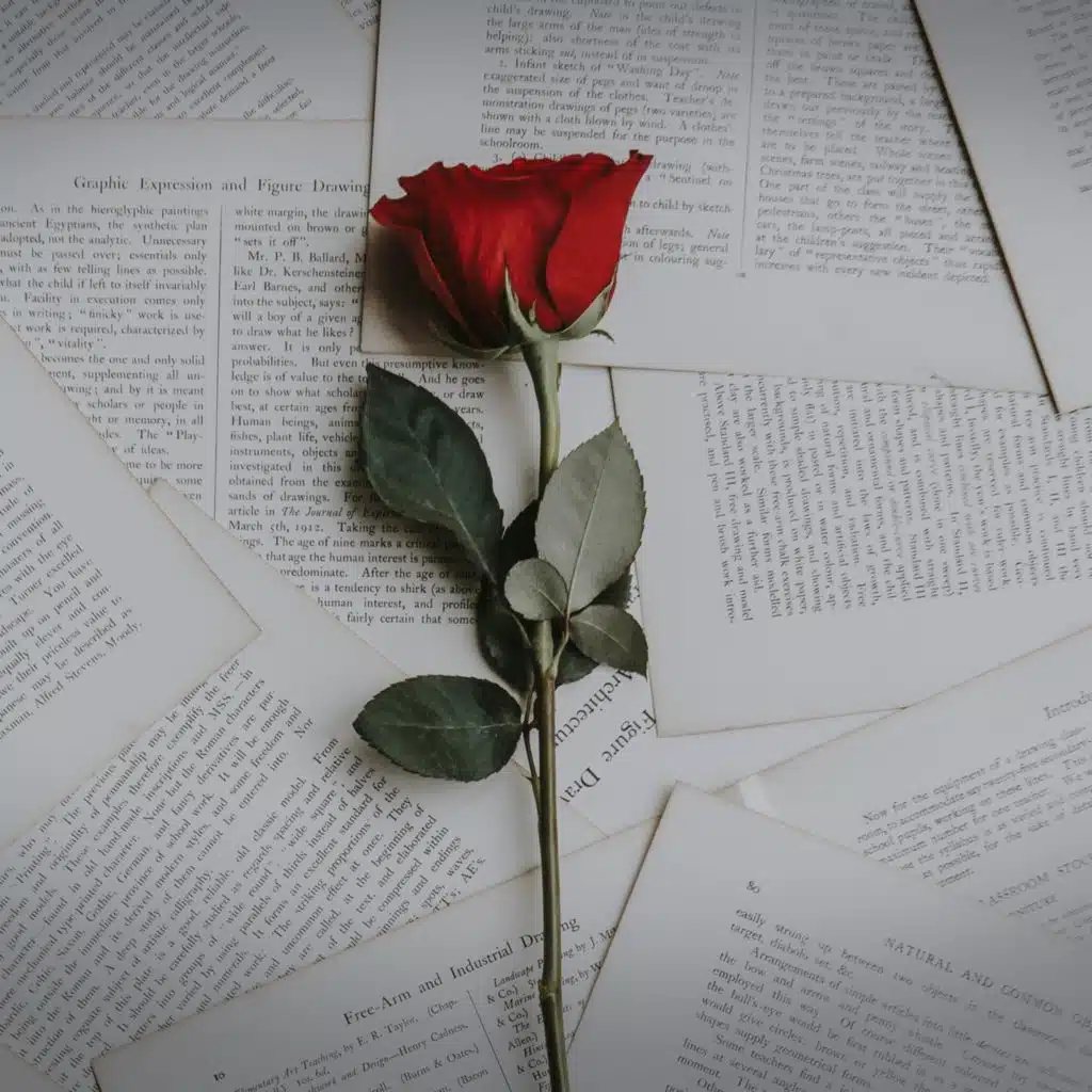 A Little Piece of Love