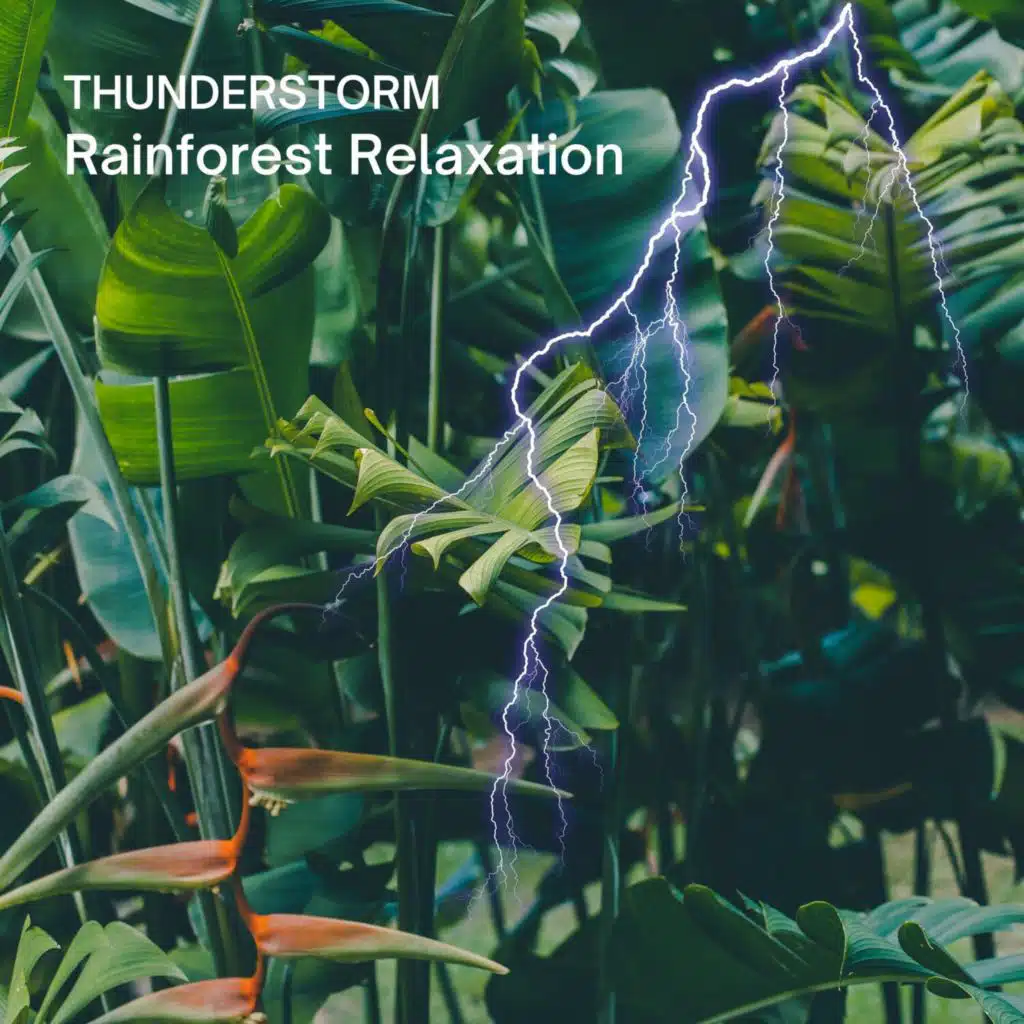 Rainforest Relaxation (Thunderstorm)