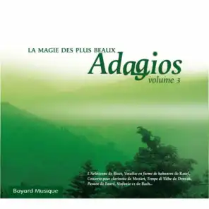 Sonata da Chiesa No. 3 in C Major, Op. 5: III. Adagio