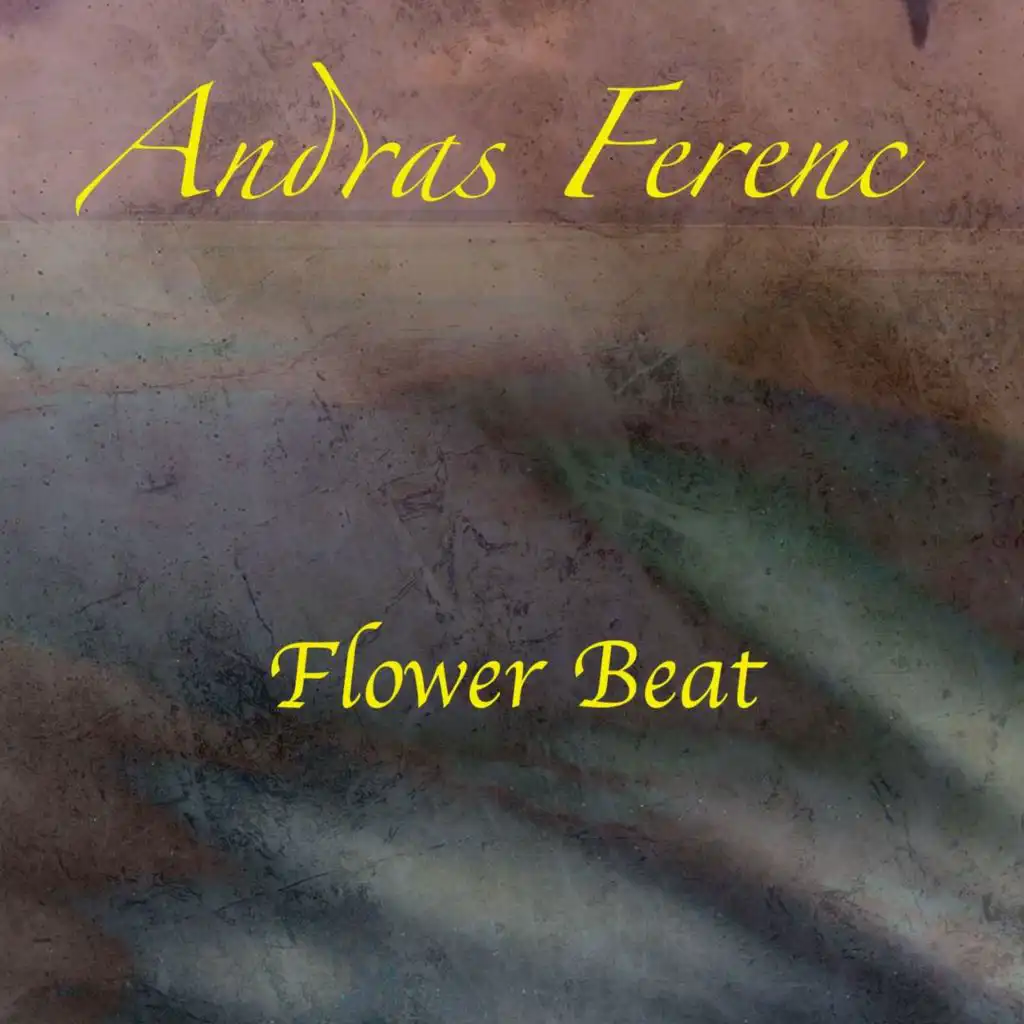 Flower Beat (Extended Mix)