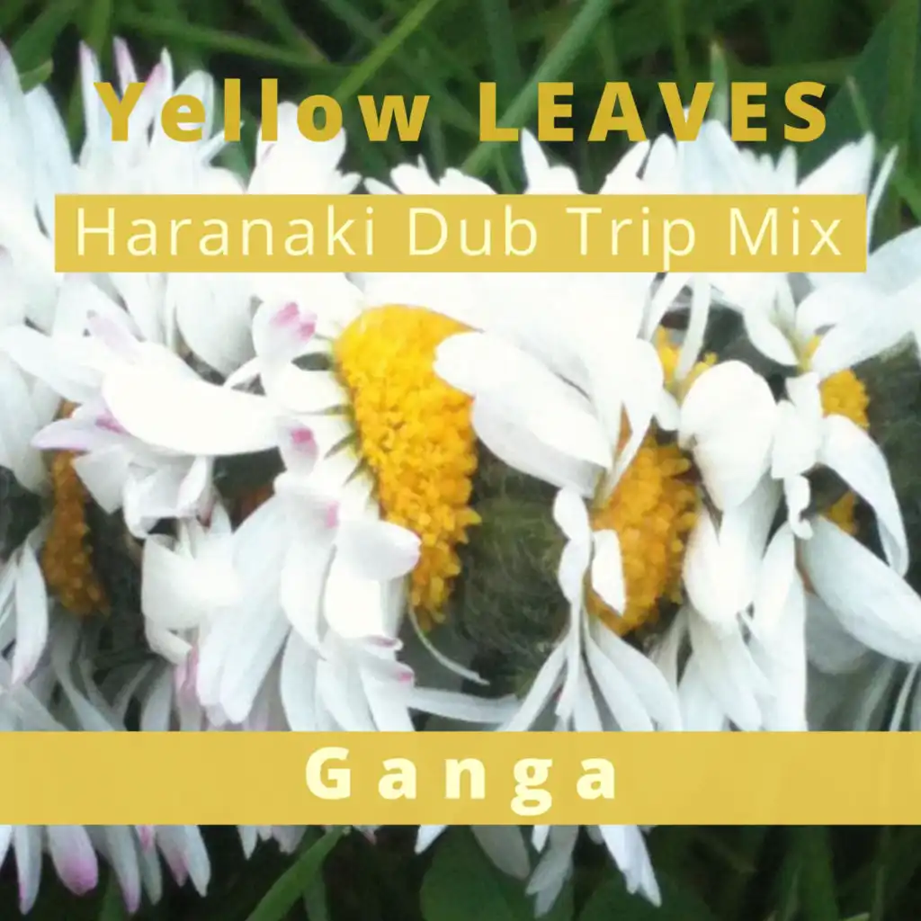 Yellow Leaves (Haranaki Remix)