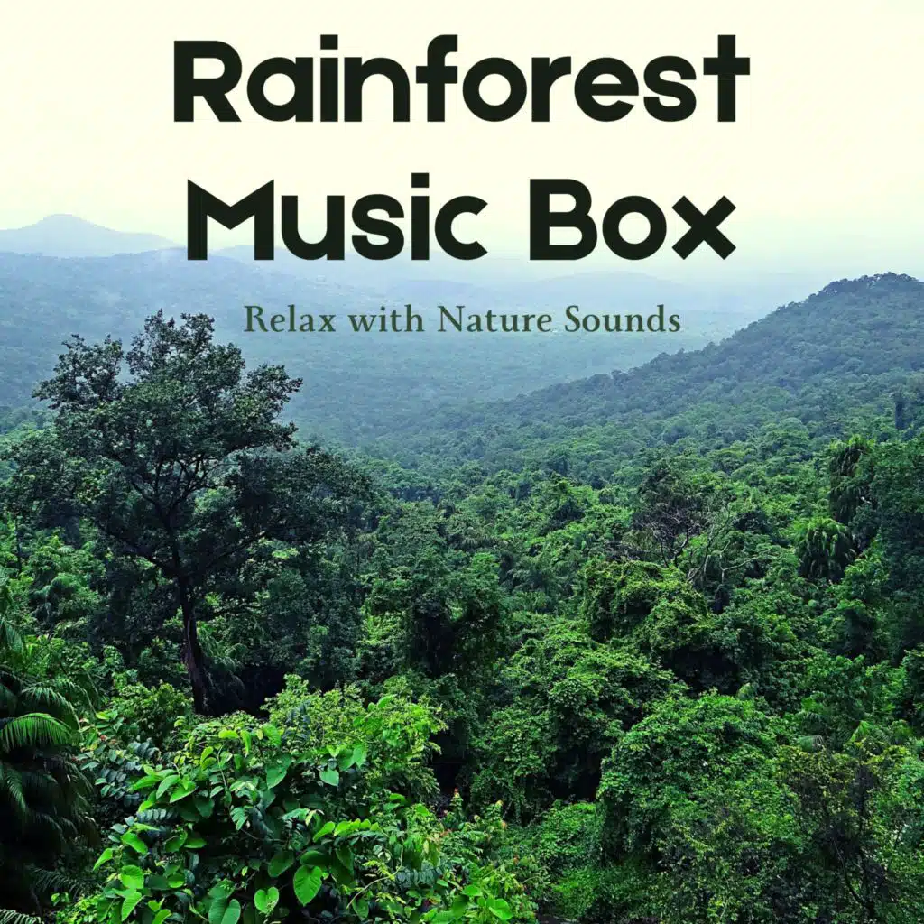 Rainforest Music Box - Relax with Nature Sounds