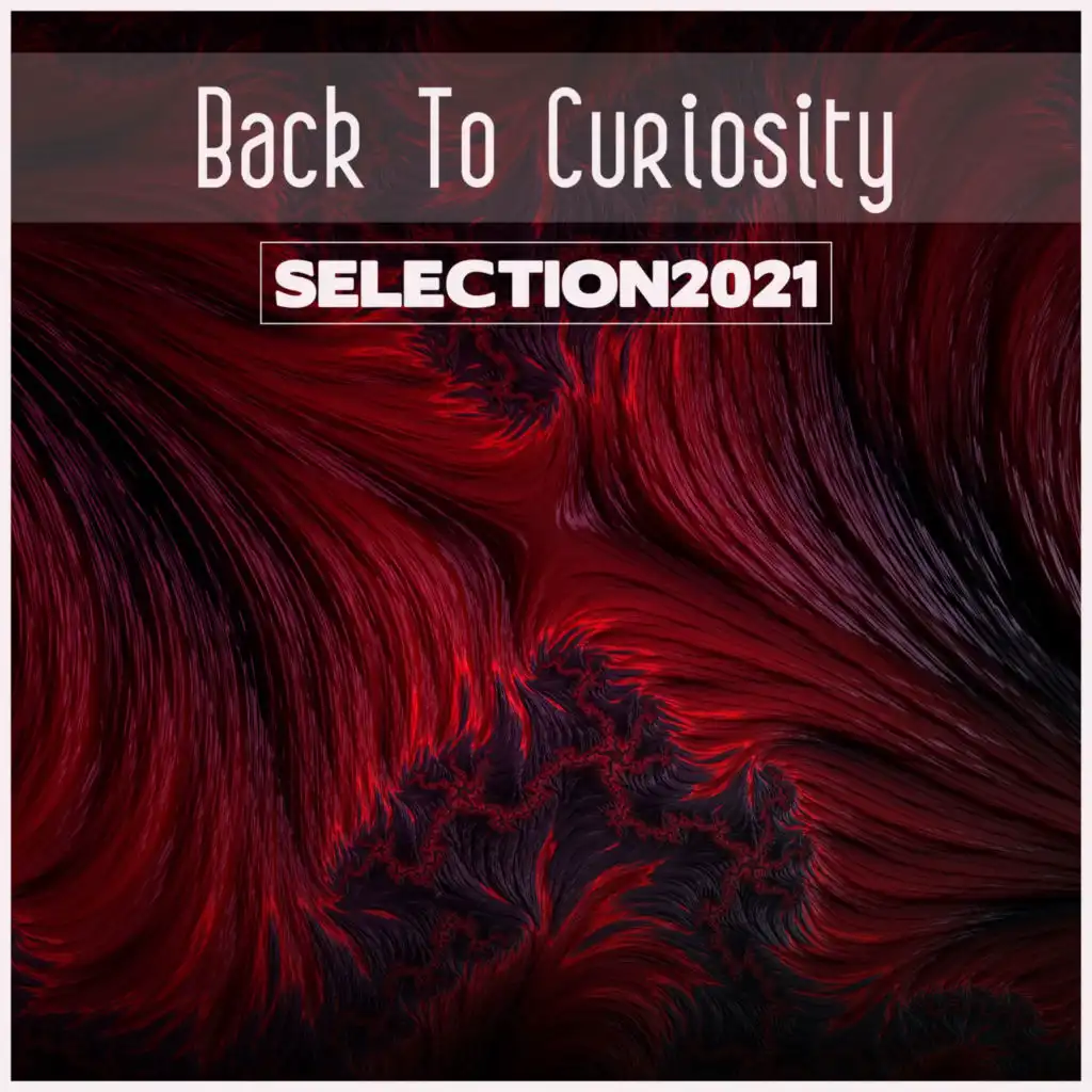 Back To Curiosity Selection 2021