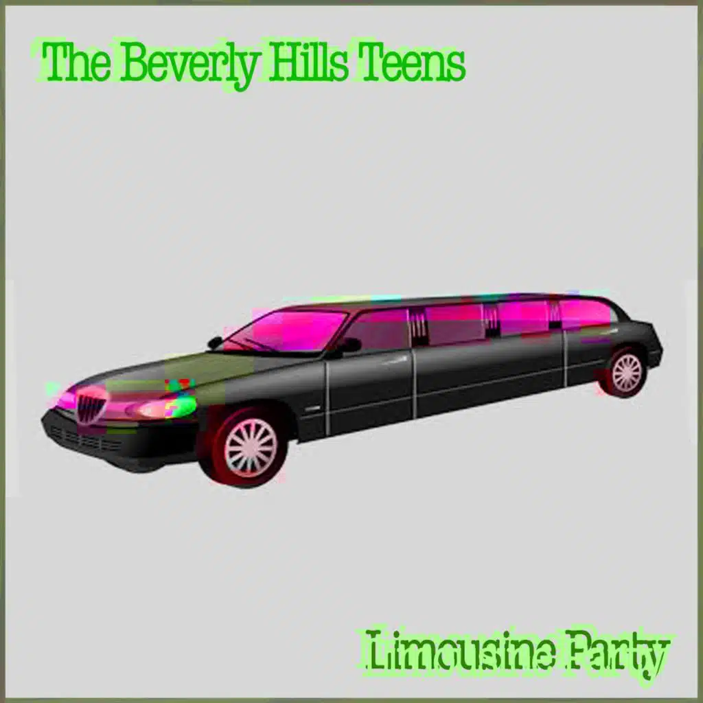 Limousine Party