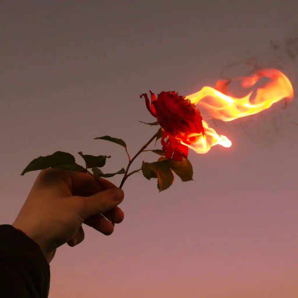 Refeci & Michel Fannoun