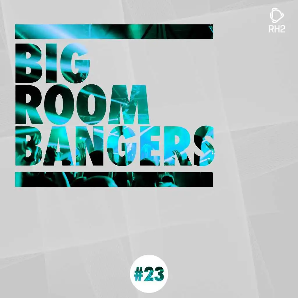 Big Room Bangers, Vol. 23