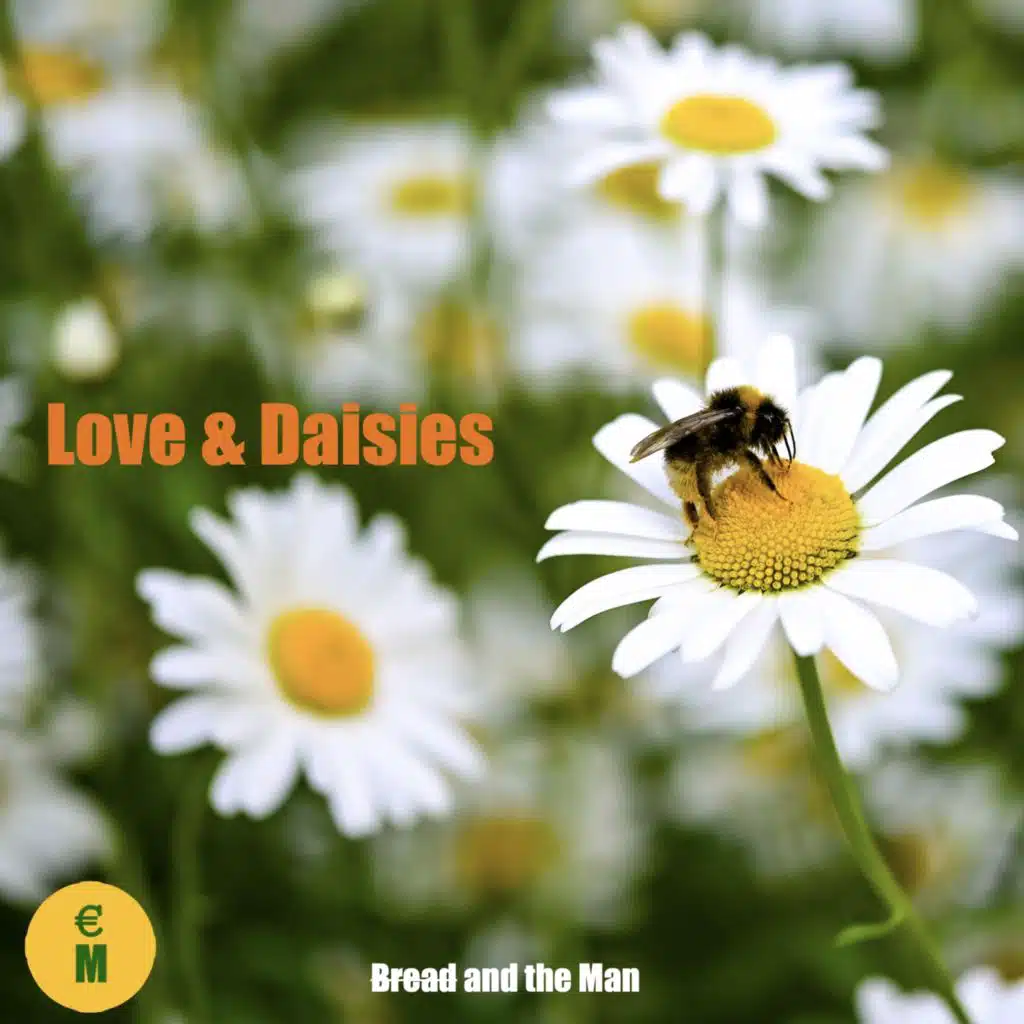 Love And Daisies