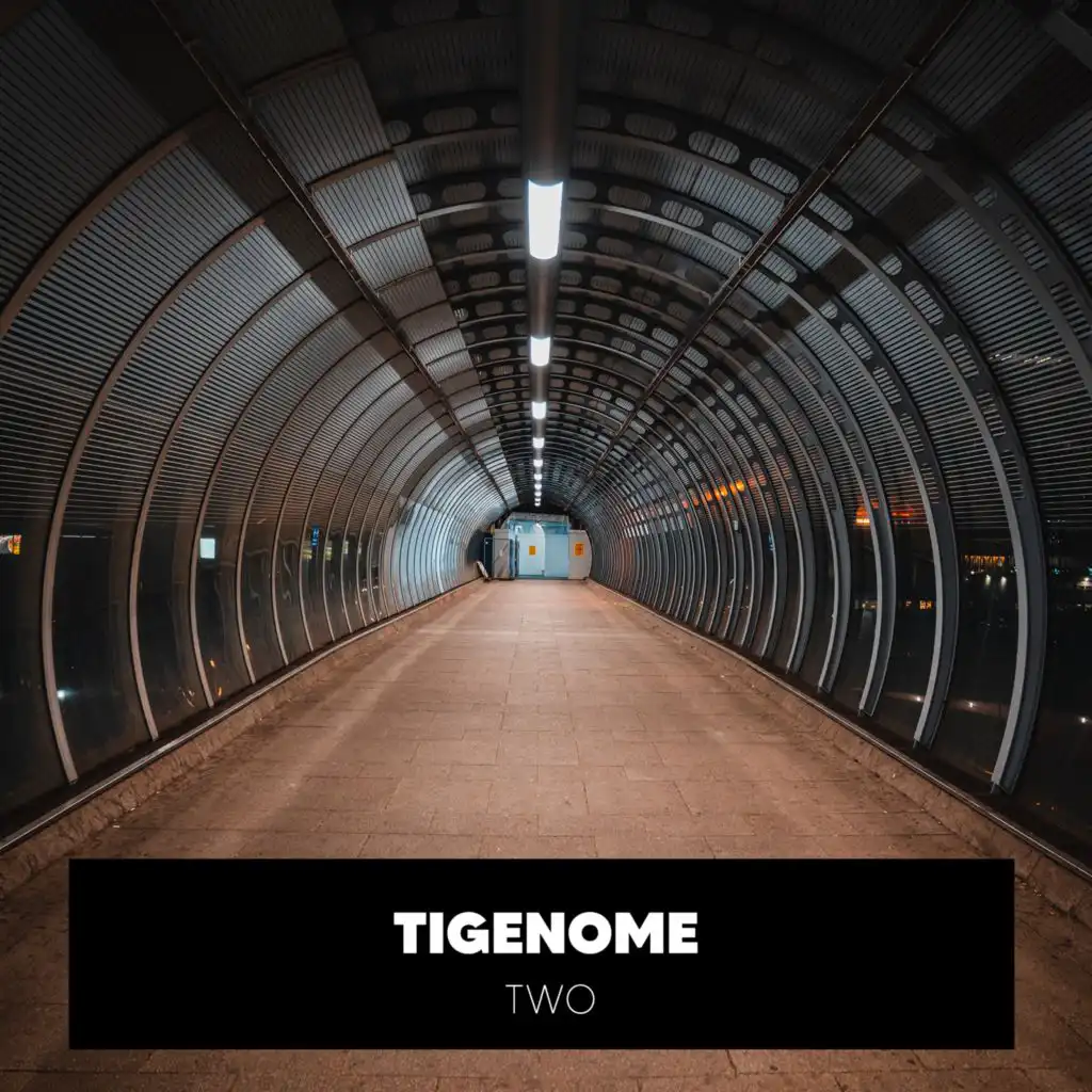 TiGenome