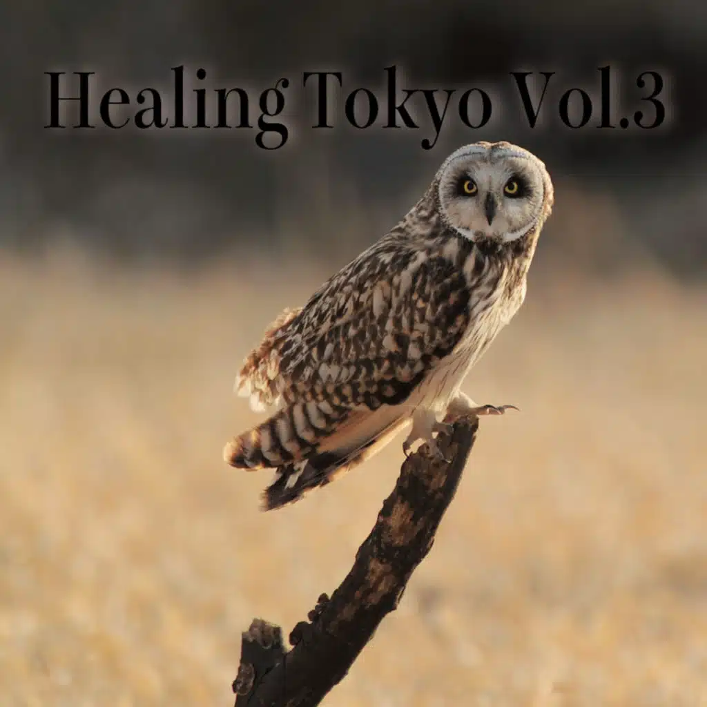 Healing Tokyo Vol.3 (Healing Tokyo Ver.)