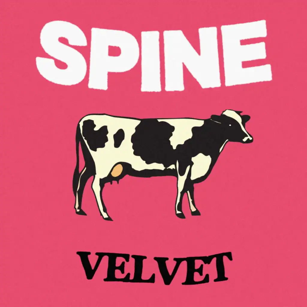 Spine