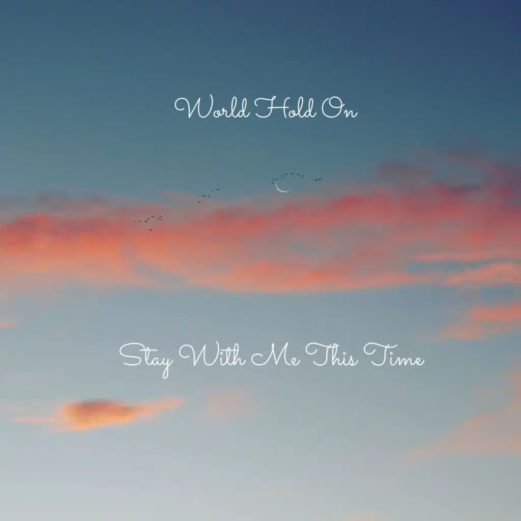 Stay With Me This Time