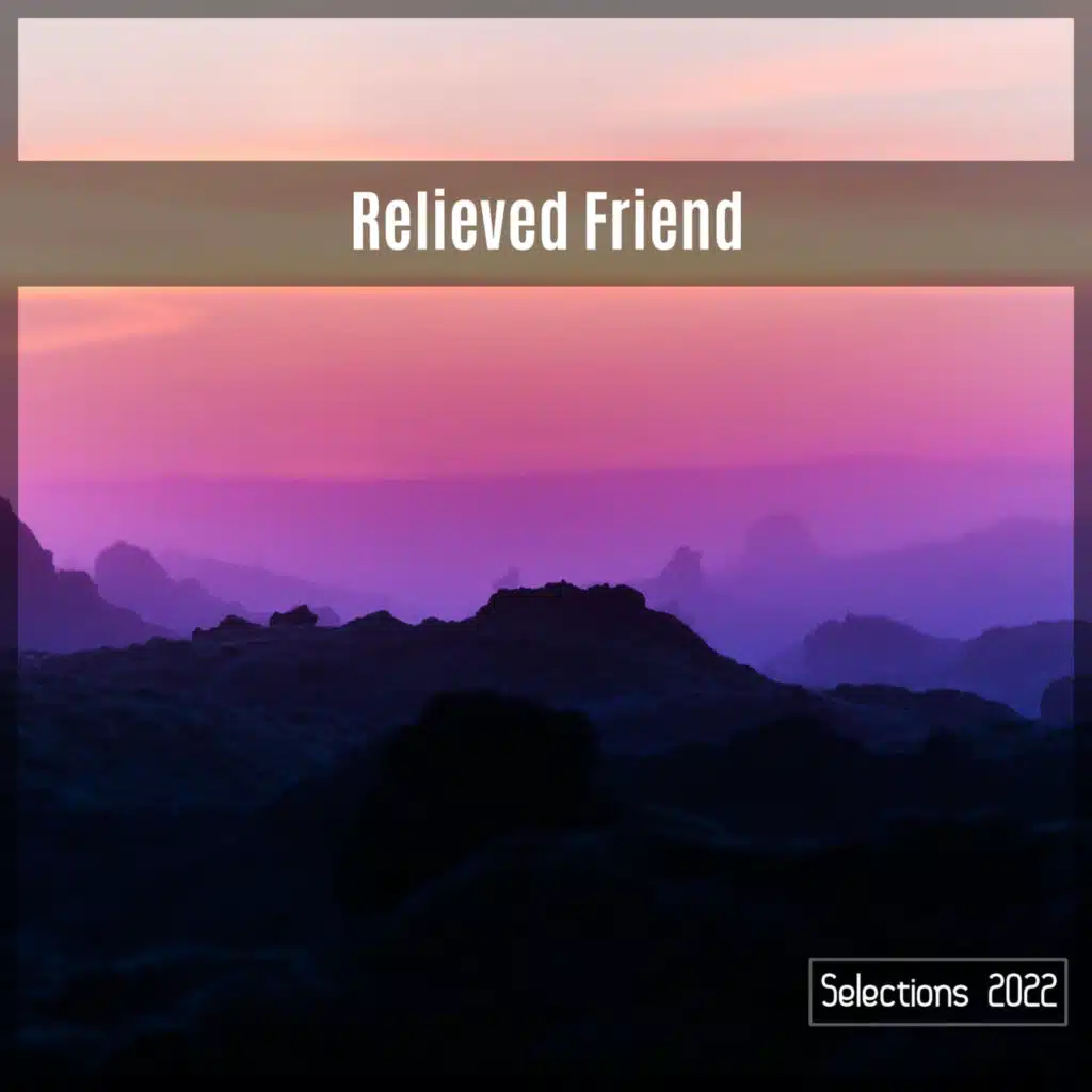 Fisarmonica Capricciosa (Radio Vrs.)