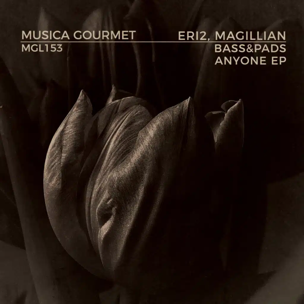 Magillian, Eri2 & Bass&Pads