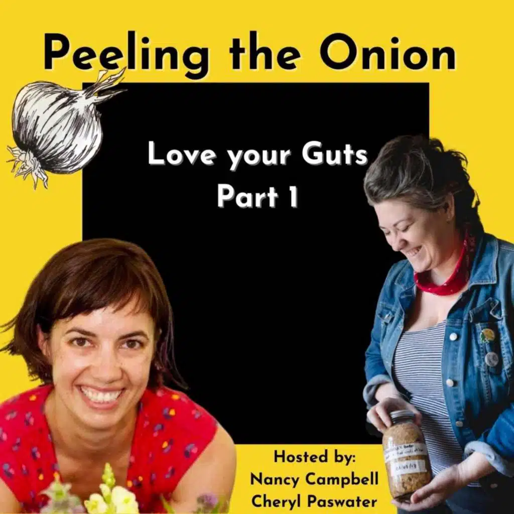 Digestion Essentials ,Part 1 | Gut Health