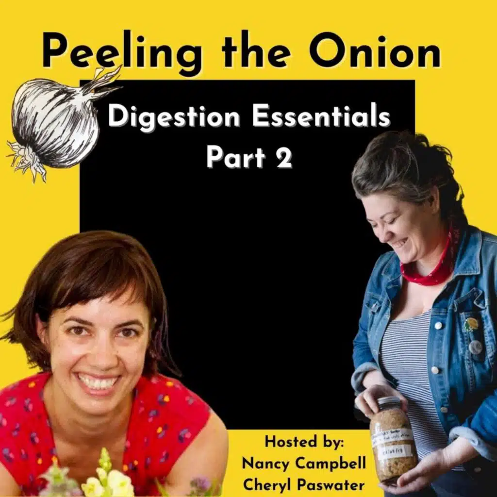 Digestion Essentials, Part 2 | Gut Health