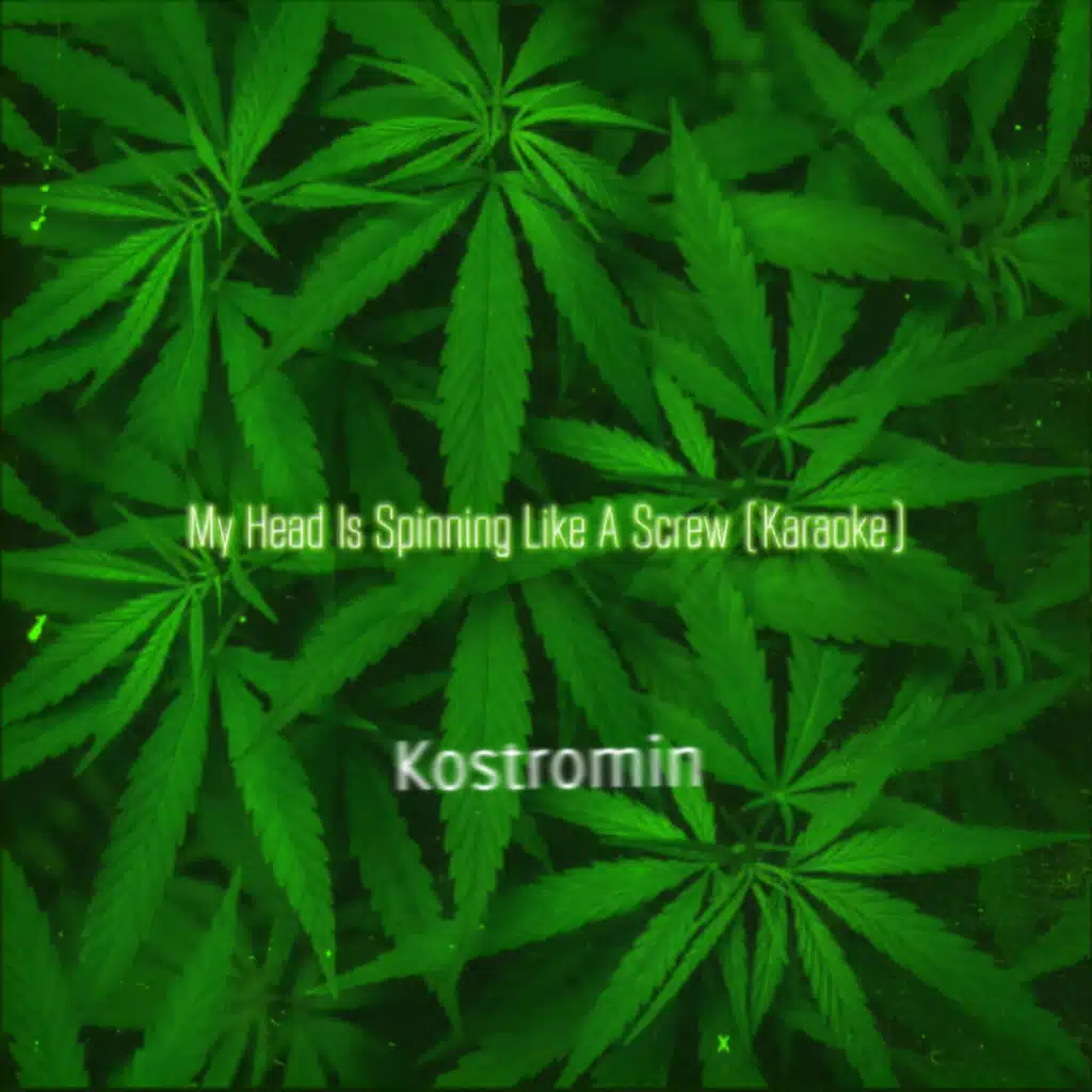 My Head Is Spinning Like A Screw (Karaoke)