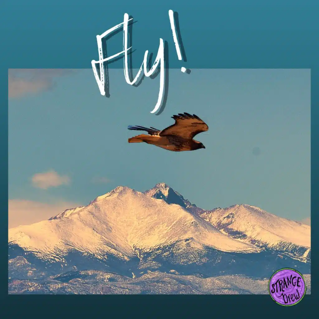 Fly!