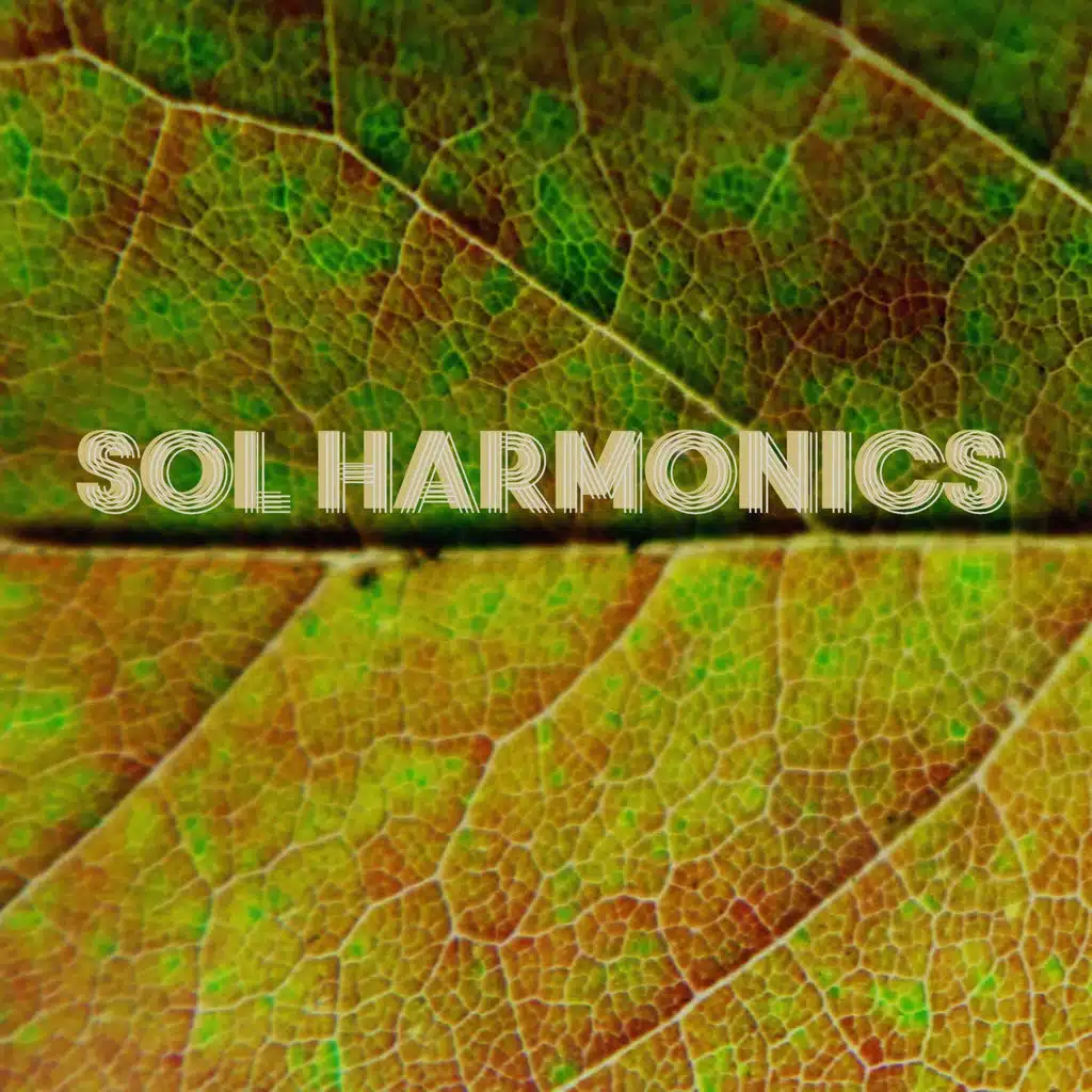 Sol Harmonics