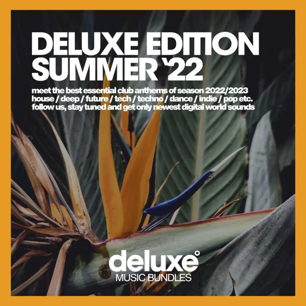 Latino Nights (Tech House Mix)