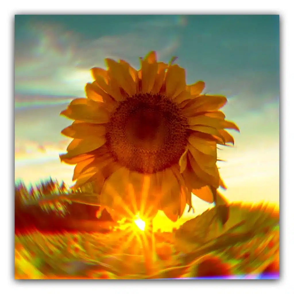 SHINE