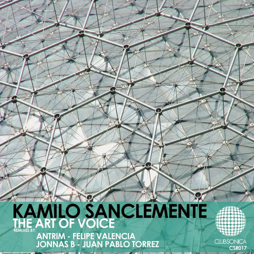 The Art Of Voice (Felipe Valencia Remix)