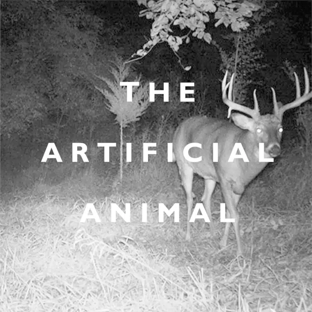 The Artificial Animal