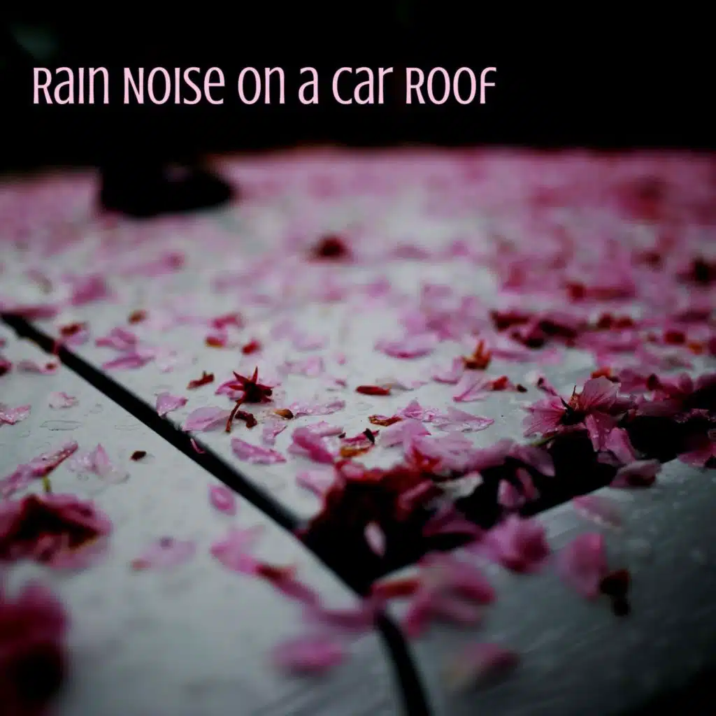 Rain Noise on a Car Roof