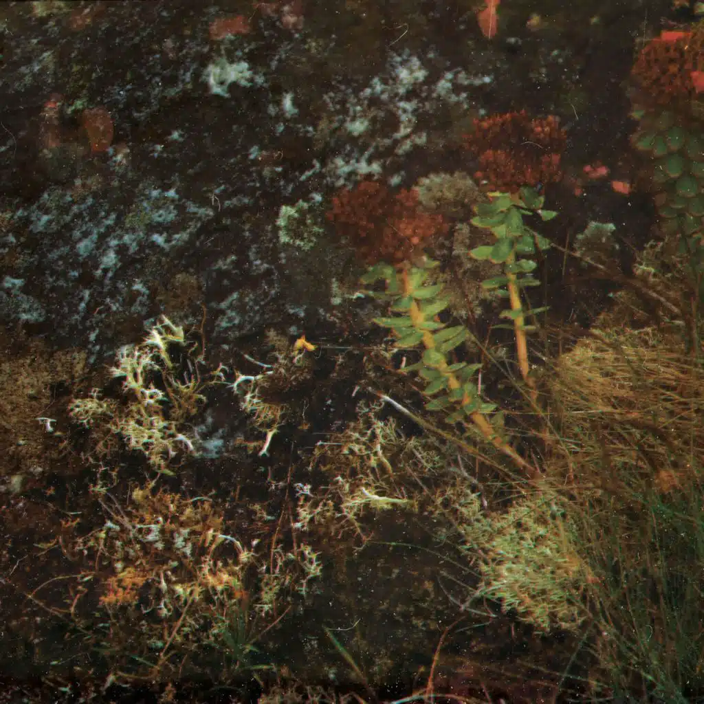 Driving Hours (musclecars "Call Me" Mix)