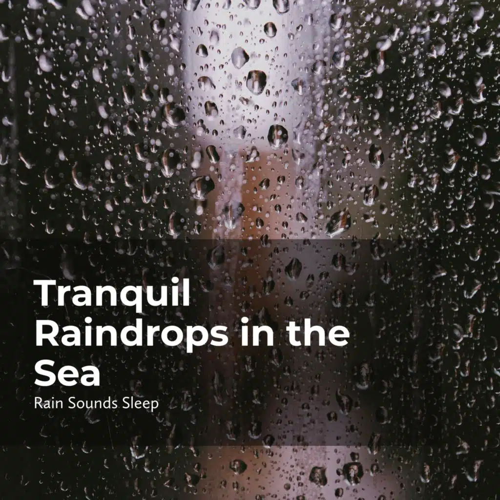 Tranquil Raindrops in the Sea