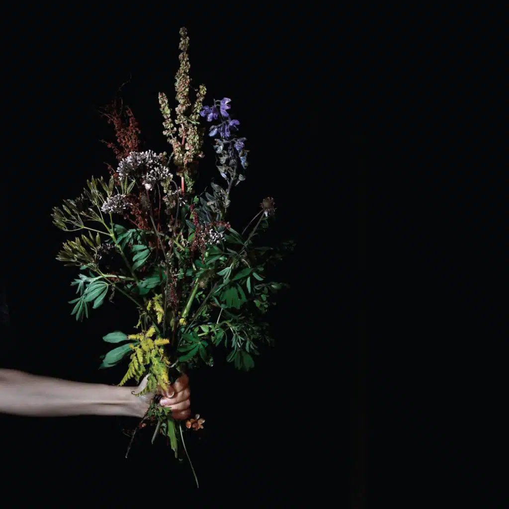 Burnirót (feat. Alex Somers, Sin Fang, Kjartan Holm & Jónsi)