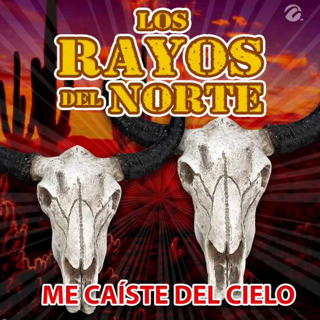 Me Caíste del Cielo