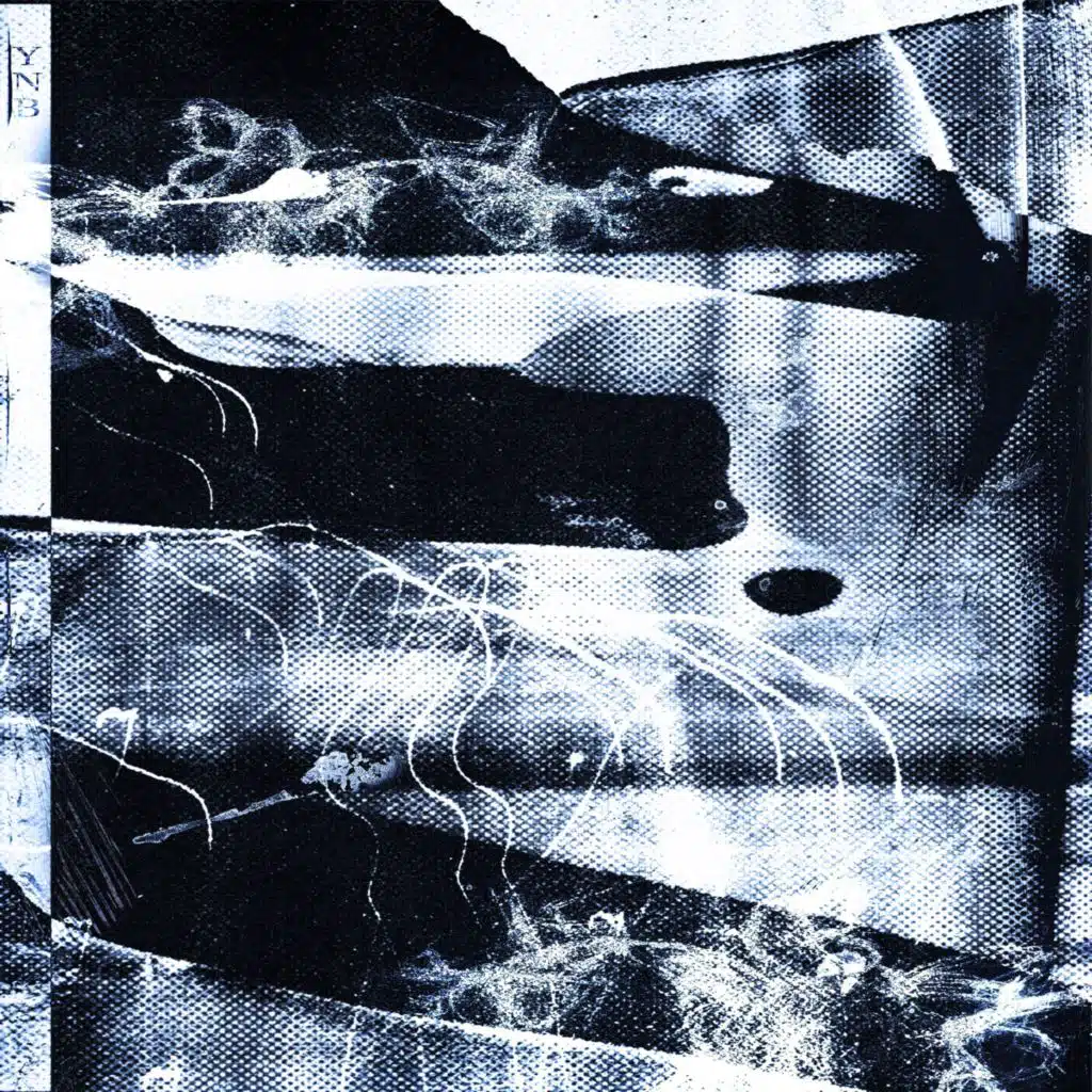 Hey Bitch! (feat. MERCYKILL)