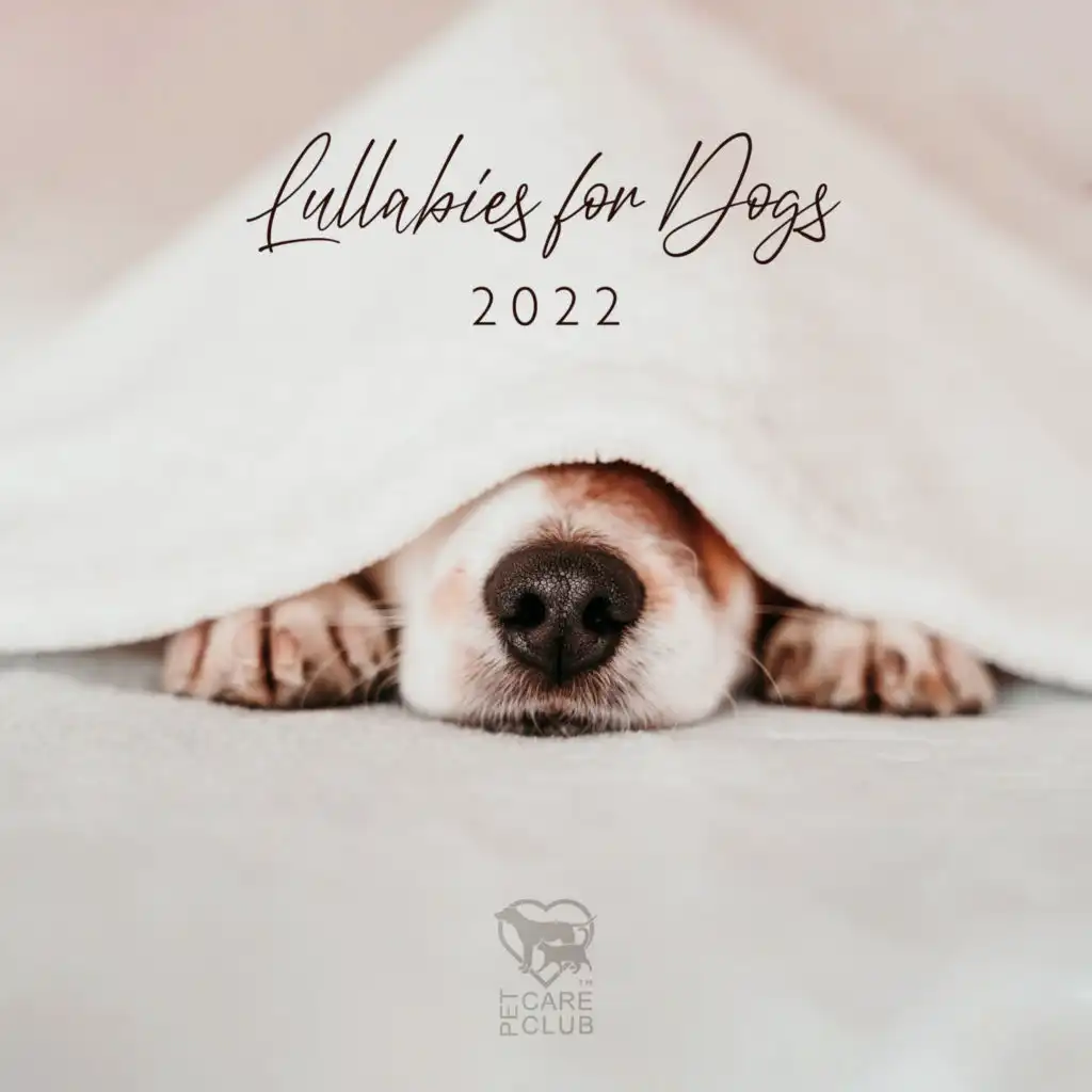 Music for Dogs to Sleep