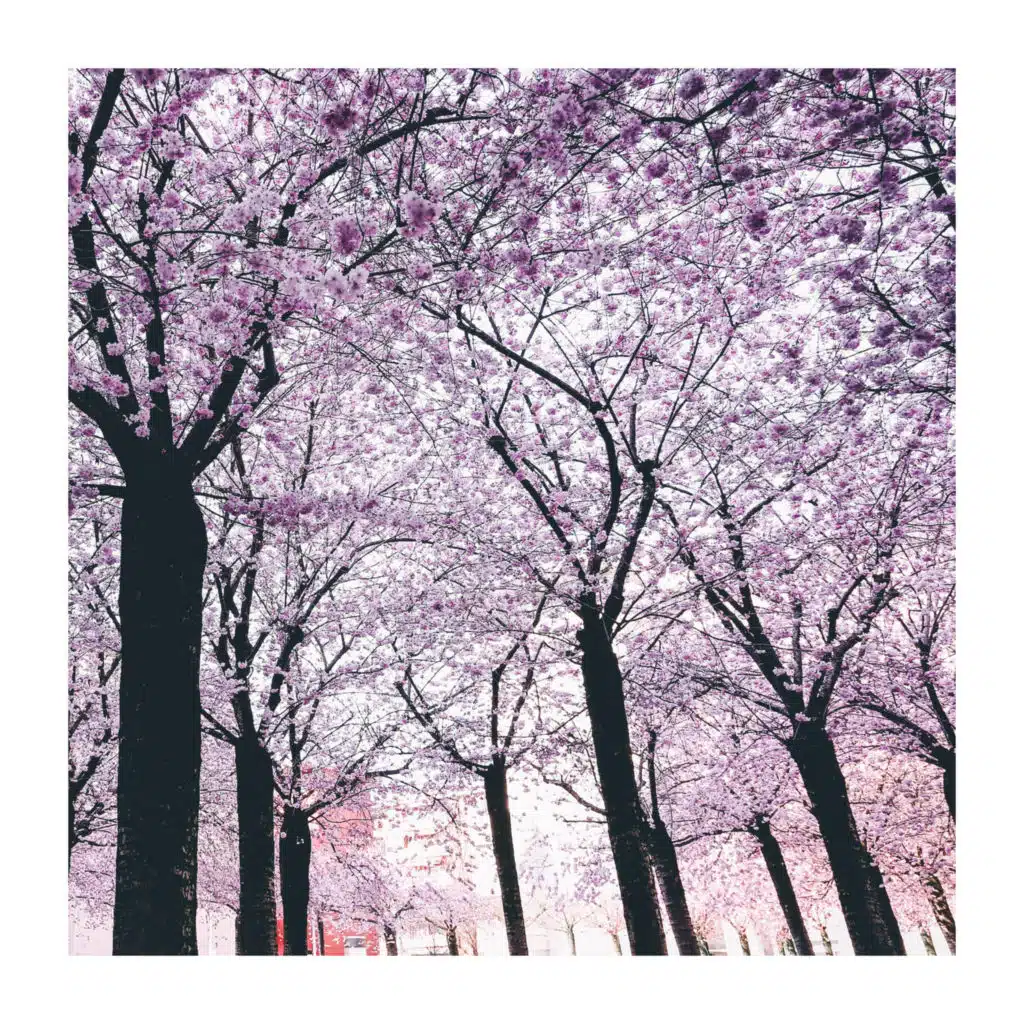 Deep Visualization Zen