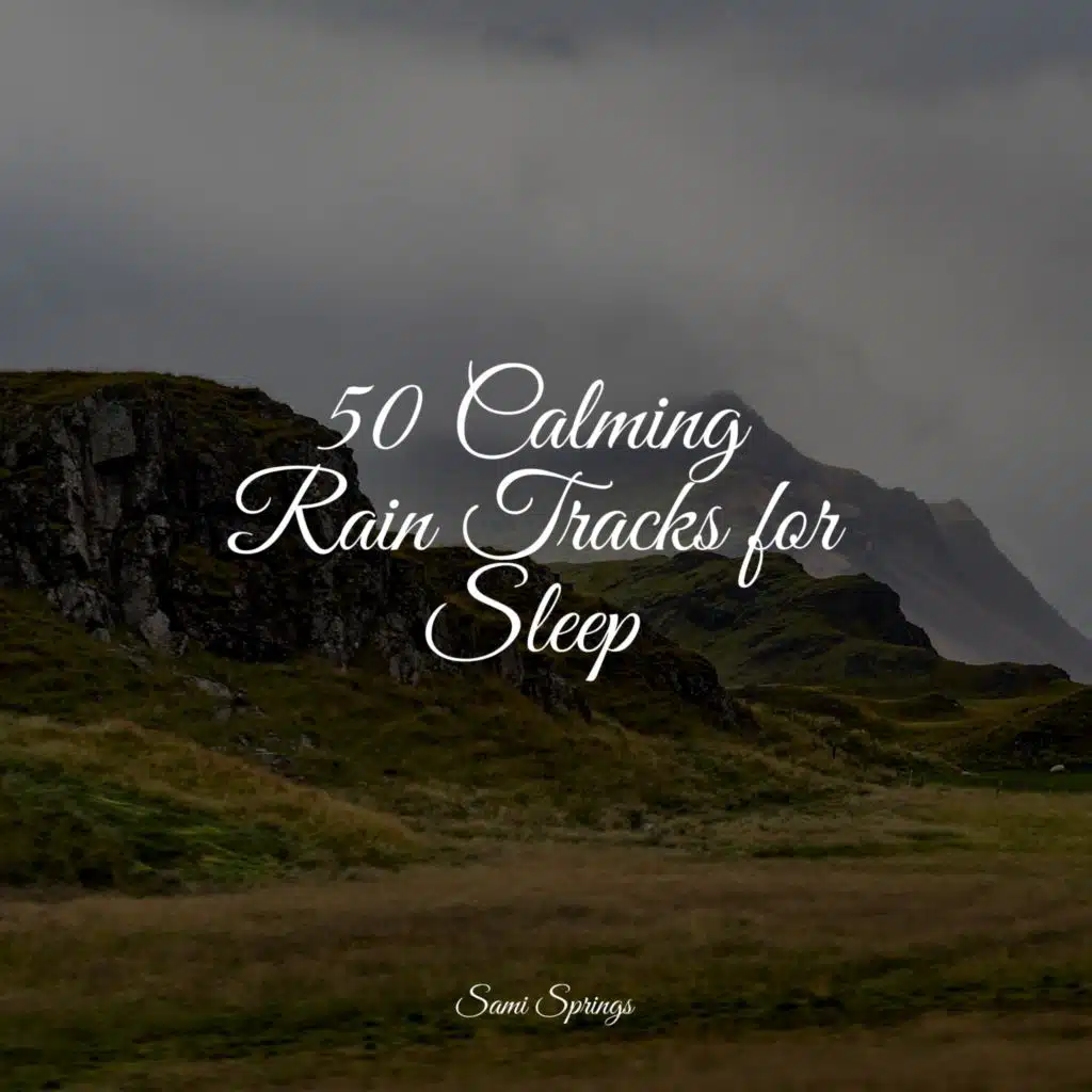 Nature Sounds Collection & Calm shores