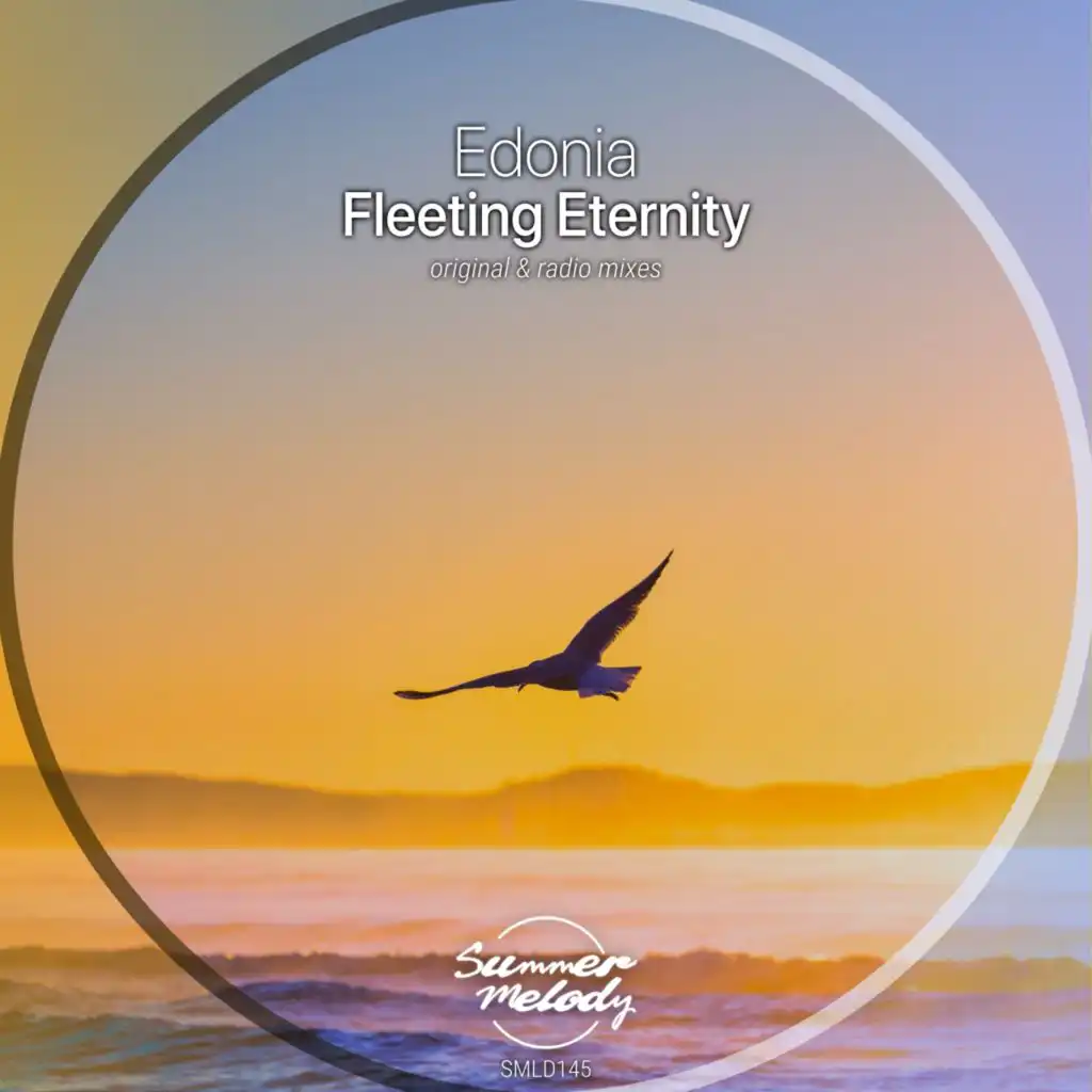 Fleeting Eternity (Radio Mix)