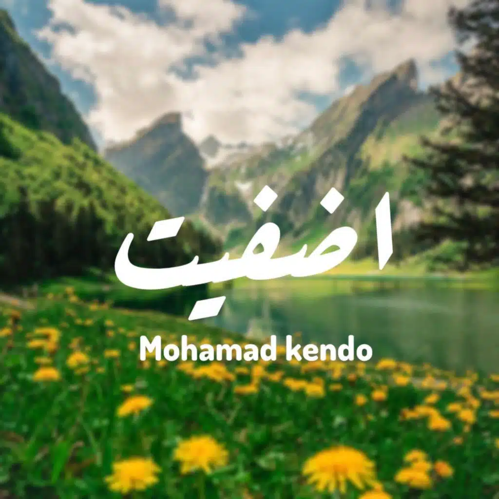 اضفيت