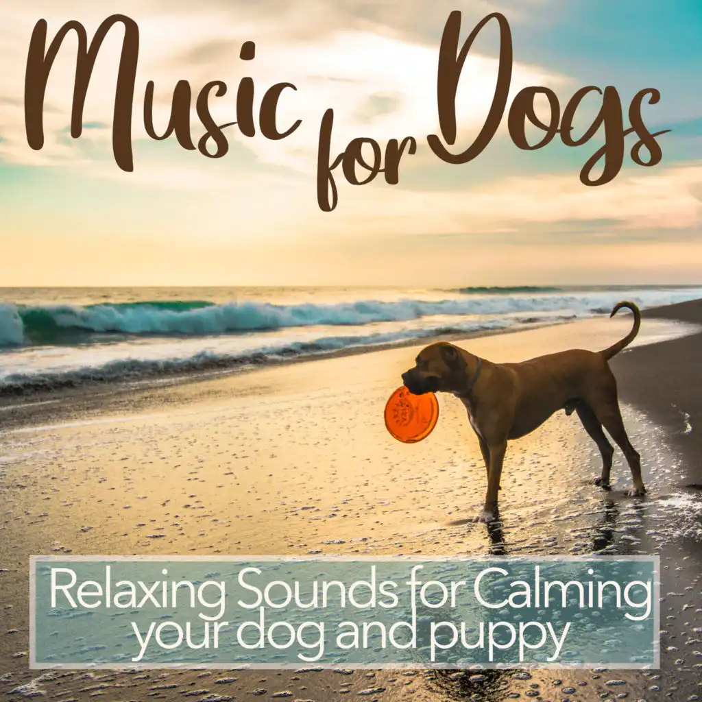Relax My Dog Music, Dog Music Therapy & Dog Music Dreams