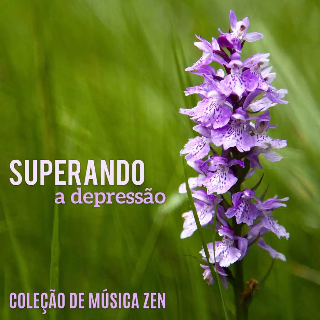 Superando a Depressão