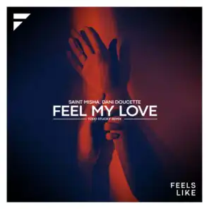 Feel My Love (Todd Stucky Remix)