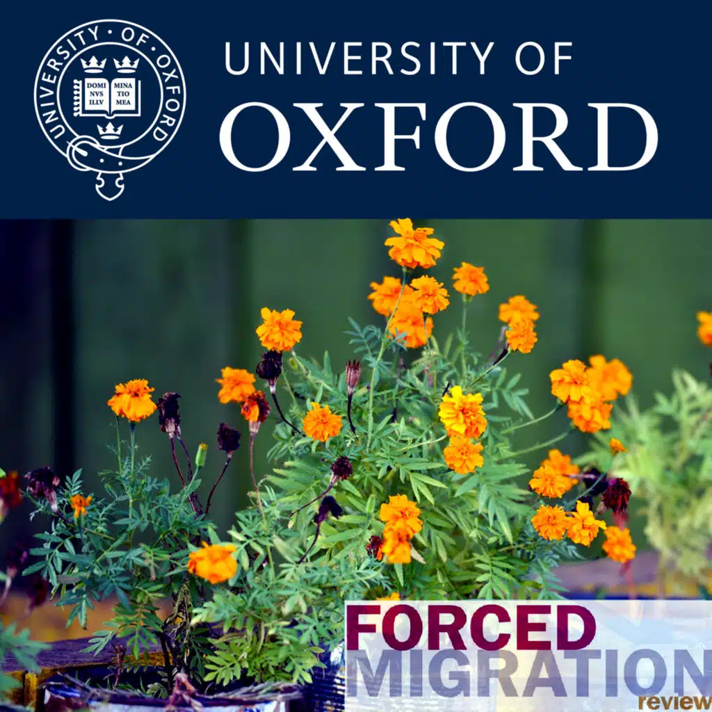 FMR 53 - Challenging the established order: the need to 'localise' protection